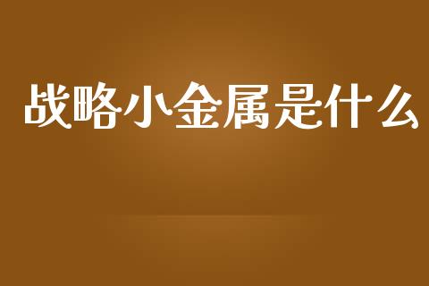 战略小金属是什么_https://cj004.lansai.wang_金融监管_第1张