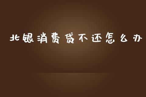 北银消费贷不还怎么办_https://cj004.lansai.wang_全球市场_第1张