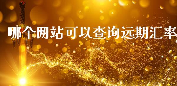 哪个网站可以查询远期汇率_https://cj004.lansai.wang_金融监管_第1张
