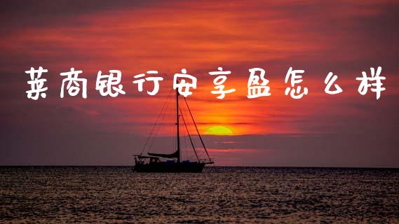 莱商银行安享盈怎么样_https://cj004.lansai.wang_财经新闻_第1张