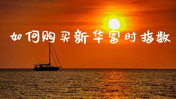 如何购买新华富时指数_https://cj004.lansai.wang_全球市场_第1张
