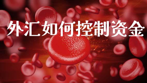 外汇如何控制资金_https://cj004.lansai.wang_全球市场_第1张