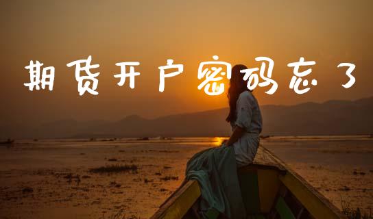 期货开户密码忘了_https://cj004.lansai.wang_期货开户_第1张