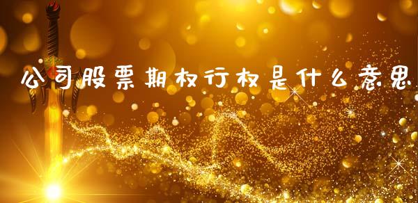 公司股票期权行权是什么意思_https://cj004.lansai.wang_全球市场_第1张