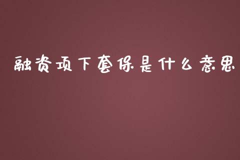 融资项下套保是什么意思_https://cj004.lansai.wang_全球市场_第1张