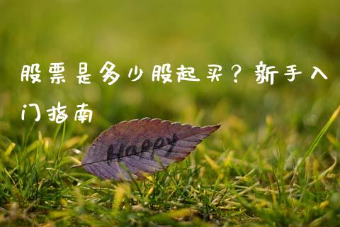 股票是多少股起买？新手入门指南_https://cj004.lansai.wang_全球市场_第1张