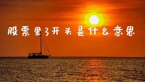 股票里3开头是什么意思_https://cj004.lansai.wang_债券资讯_第1张