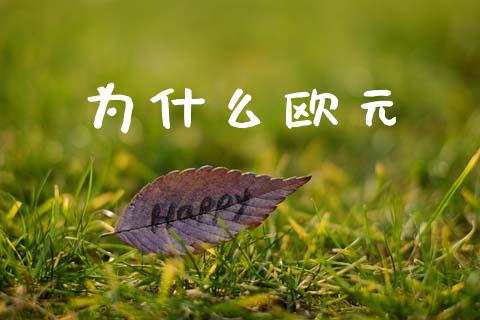 为什么欧元_https://cj004.lansai.wang_金融监管_第1张