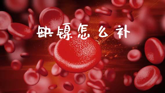 缺镍怎么补_https://cj004.lansai.wang_财经新闻_第1张