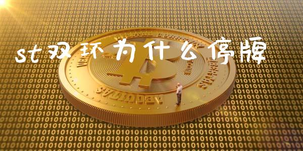 st双环为什么停牌_https://cj004.lansai.wang_债券资讯_第1张