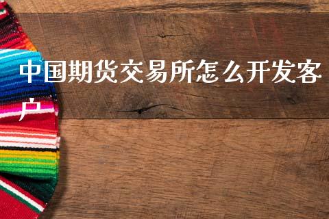 中国期货交易所怎么开发客户_https://cj004.lansai.wang_期货开户_第1张