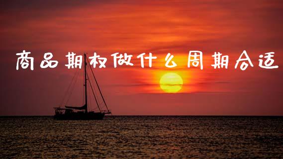 商品期权做什么周期合适_https://cj004.lansai.wang_债券资讯_第1张