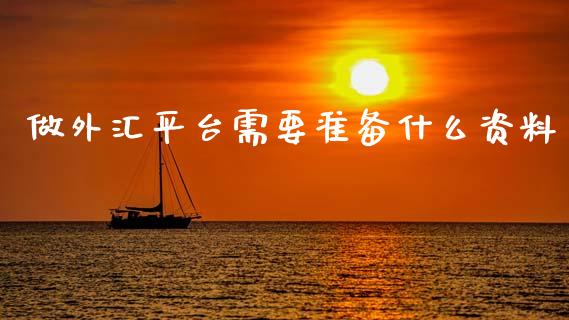 做外汇平台需要准备什么资料_https://cj004.lansai.wang_金融监管_第1张