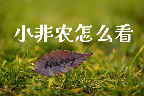 小非农怎么看_https://cj004.lansai.wang_金融监管_第1张