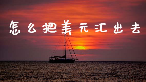 怎么把美元汇出去_https://cj004.lansai.wang_期货开户_第1张