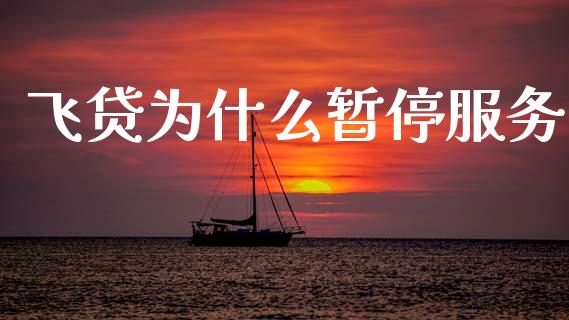 飞贷为什么暂停服务_https://cj004.lansai.wang_外汇交易_第1张