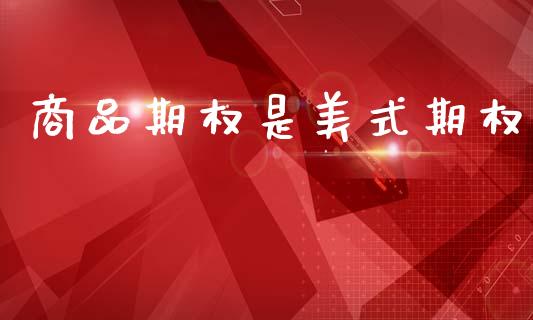 商品期权是美式期权_https://cj004.lansai.wang_财经新闻_第1张