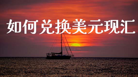如何兑换美元现汇_https://cj004.lansai.wang_财经新闻_第1张