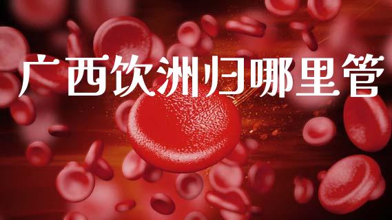 广西饮洲归哪里管_https://cj004.lansai.wang_金融监管_第1张