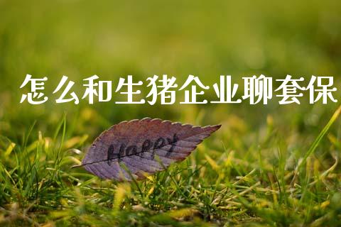 怎么和生猪企业聊套保_https://cj004.lansai.wang_金融监管_第1张