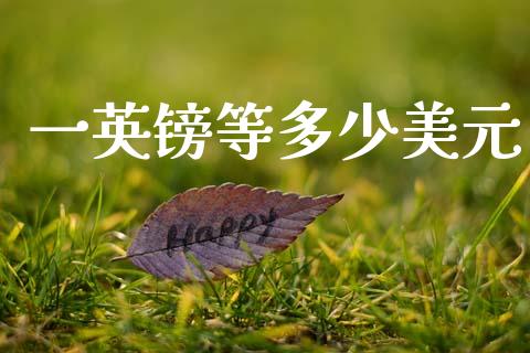 一英镑等多少美元_https://cj004.lansai.wang_金融监管_第1张