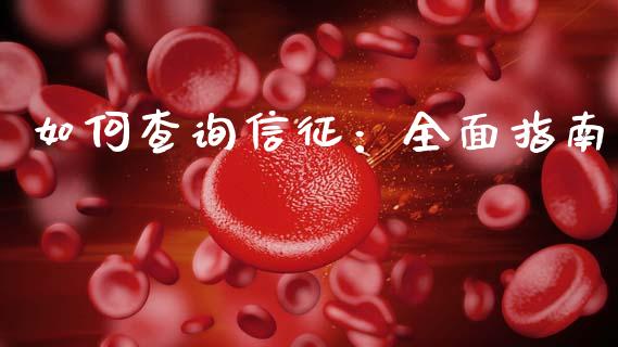 如何查询信征：全面指南_https://cj004.lansai.wang_债券资讯_第1张