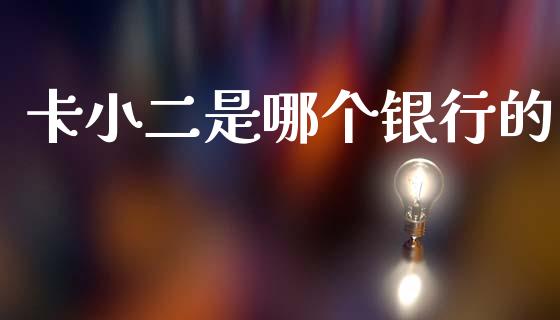 卡小二是哪个银行的_https://cj004.lansai.wang_财经新闻_第1张
