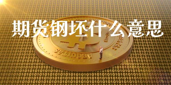 期货钢坯什么意思_https://cj004.lansai.wang_债券资讯_第1张