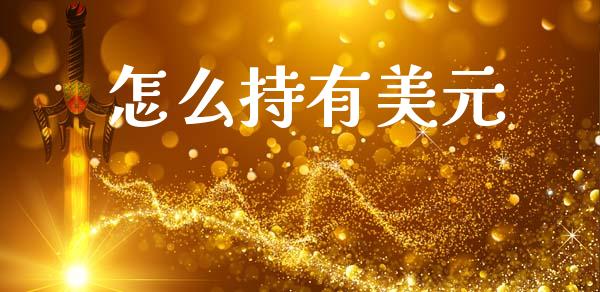 怎么持有美元_https://cj004.lansai.wang_债券资讯_第1张