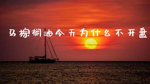 马棕榈油今天为什么不开盘_https://cj004.lansai.wang_金融监管_第1张