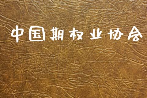 中国期权业协会_https://cj004.lansai.wang_债券资讯_第1张