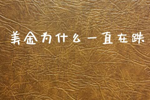 美金为什么一直在跌_https://cj004.lansai.wang_全球市场_第1张