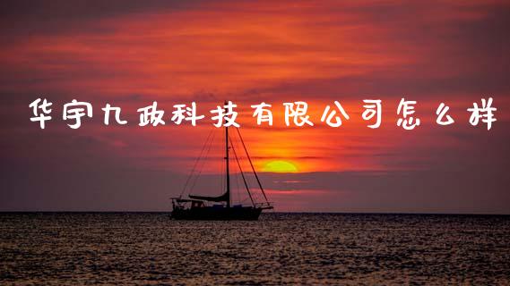 华宇九政科技有限公司怎么样_https://cj004.lansai.wang_期货开户_第1张