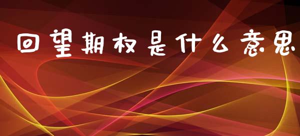 回望期权是什么意思_https://cj004.lansai.wang_金融监管_第1张
