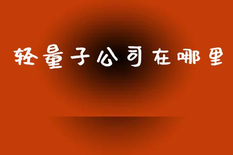 轻量子公司在哪里_https://cj004.lansai.wang_金融监管_第1张