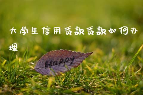 大学生信用贷款贷款如何办理_https://cj004.lansai.wang_全球市场_第1张