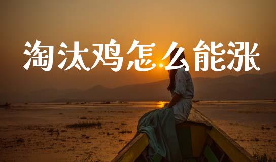 淘汰鸡怎么能涨_https://cj004.lansai.wang_外汇交易_第1张