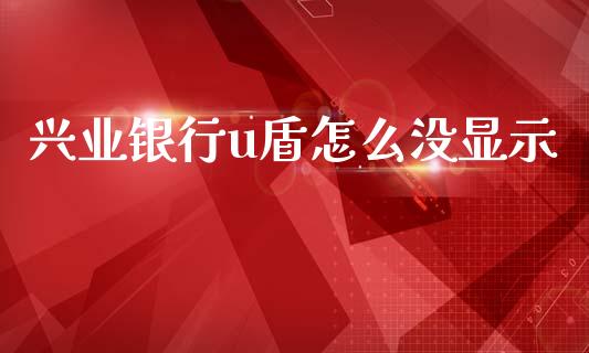 兴业银行u盾怎么没显示_https://cj004.lansai.wang_金融监管_第1张