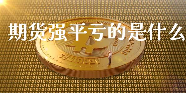 期货强平亏的是什么_https://cj004.lansai.wang_债券资讯_第1张