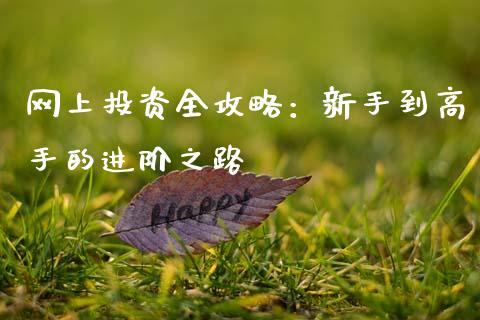 网上投资全攻略：新手到高手的进阶之路_https://cj004.lansai.wang_全球市场_第1张