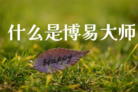 什么是博易大师_https://cj004.lansai.wang_金融监管_第1张
