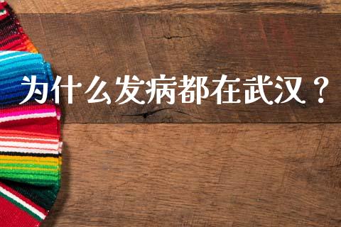 为什么发病都在武汉？_https://cj004.lansai.wang_债券资讯_第1张