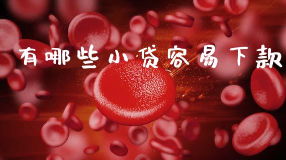 有哪些小贷容易下款_https://cj004.lansai.wang_金融监管_第1张