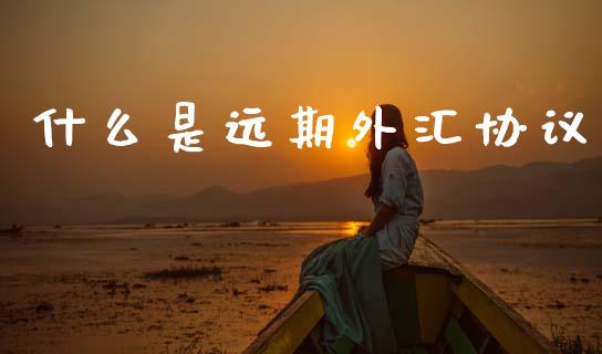 什么是远期外汇协议_https://cj004.lansai.wang_债券资讯_第1张
