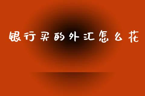 银行买的外汇怎么花_https://cj004.lansai.wang_外汇交易_第1张