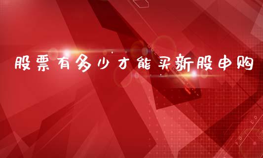 股票有多少才能买新股申购_https://cj004.lansai.wang_债券资讯_第1张