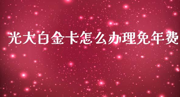 光大白金卡怎么办理免年费_https://cj004.lansai.wang_期货开户_第1张