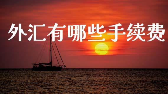 外汇有哪些手续费_https://cj004.lansai.wang_外汇交易_第1张