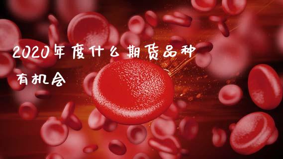2020年度什么期货品种有机会_https://cj004.lansai.wang_全球市场_第1张