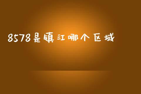 8578是镇江哪个区域_https://cj004.lansai.wang_财经新闻_第1张